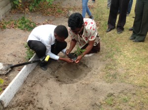 tree planting ceremony 2