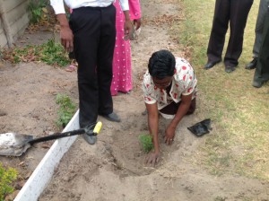 tree planting ceremony