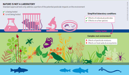 Source: Pesticide Atlas (2022)